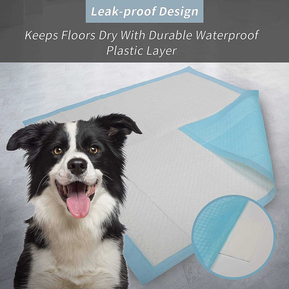 Super Absorbent & Leak-Proof Dog Pee Training Pads S923