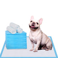 Super Absorbent & Leak-Proof Dog Pee Training Pads S923