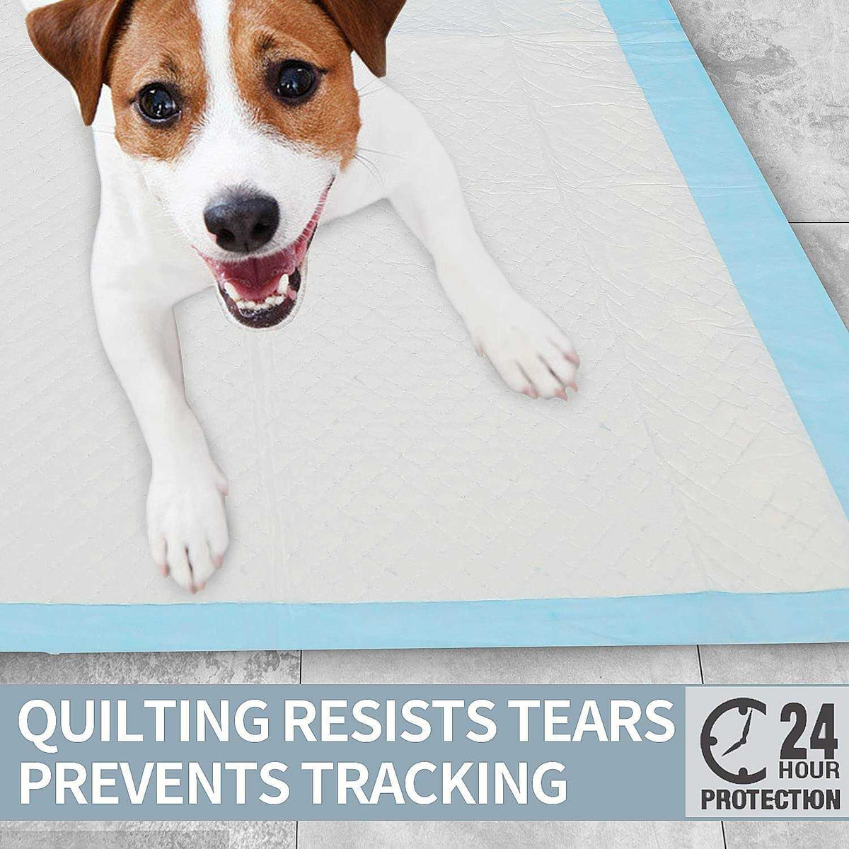 Super Absorbent & Leak-Proof Dog Pee Training Pads S923