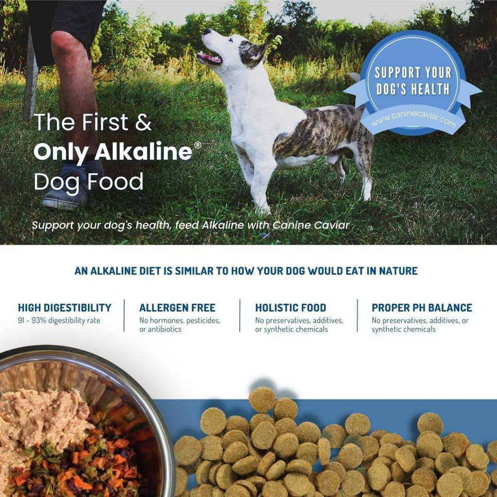 Holistic Dry Dog Food M41719