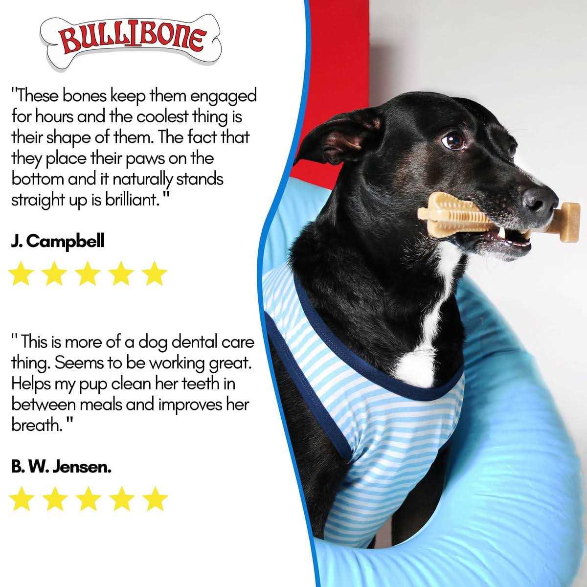 Nylon Dog Chew Toy X468