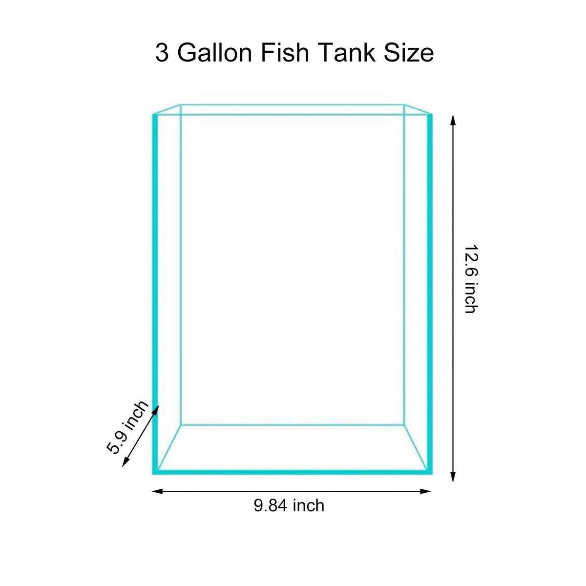 3 Gallon Glass Fish Tank D53781
