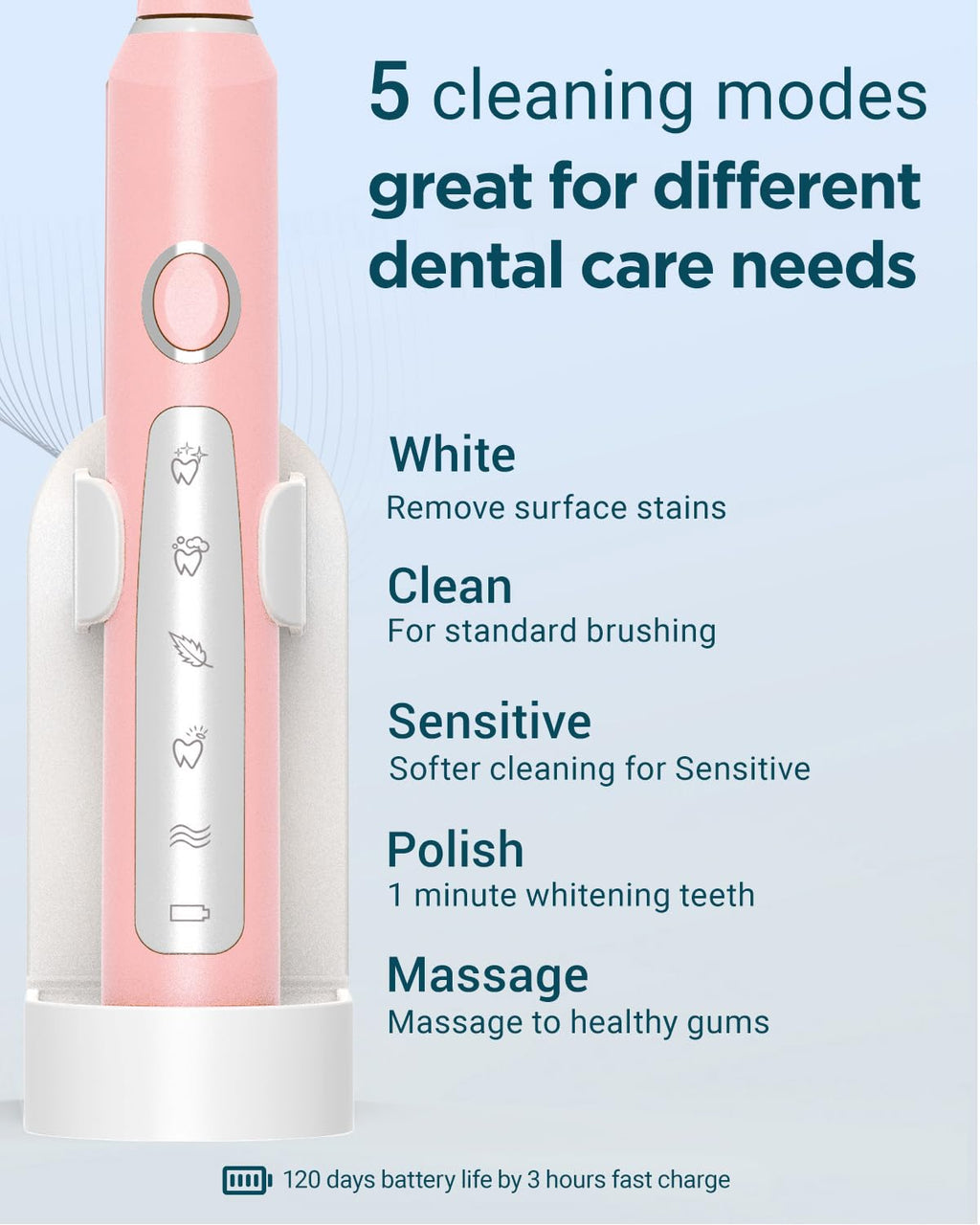2 Pack Rechargeable Electric Toothbrush with 12 Brush Heads & 2 Travel Case B8222