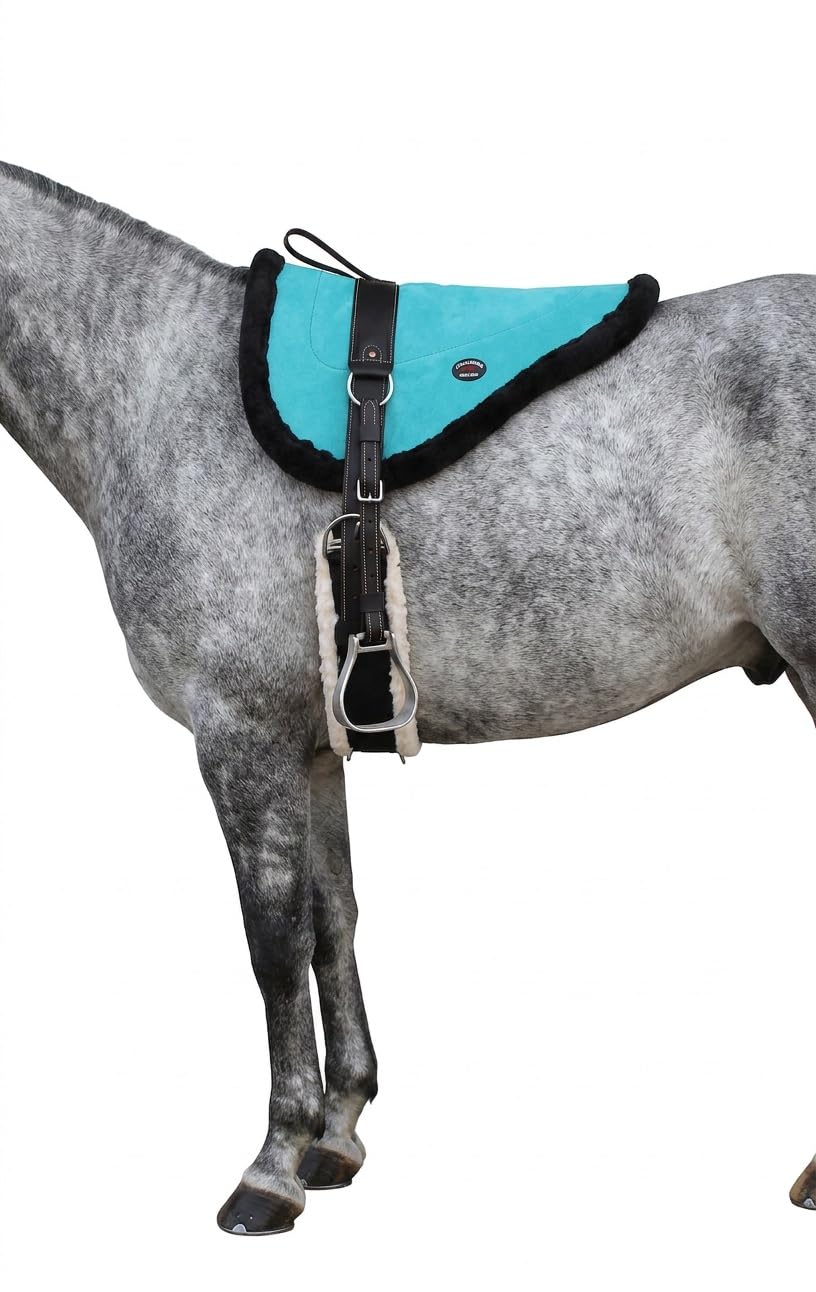 Turquoise Suede Leather Western Saddle Pad with Stirrups L917420