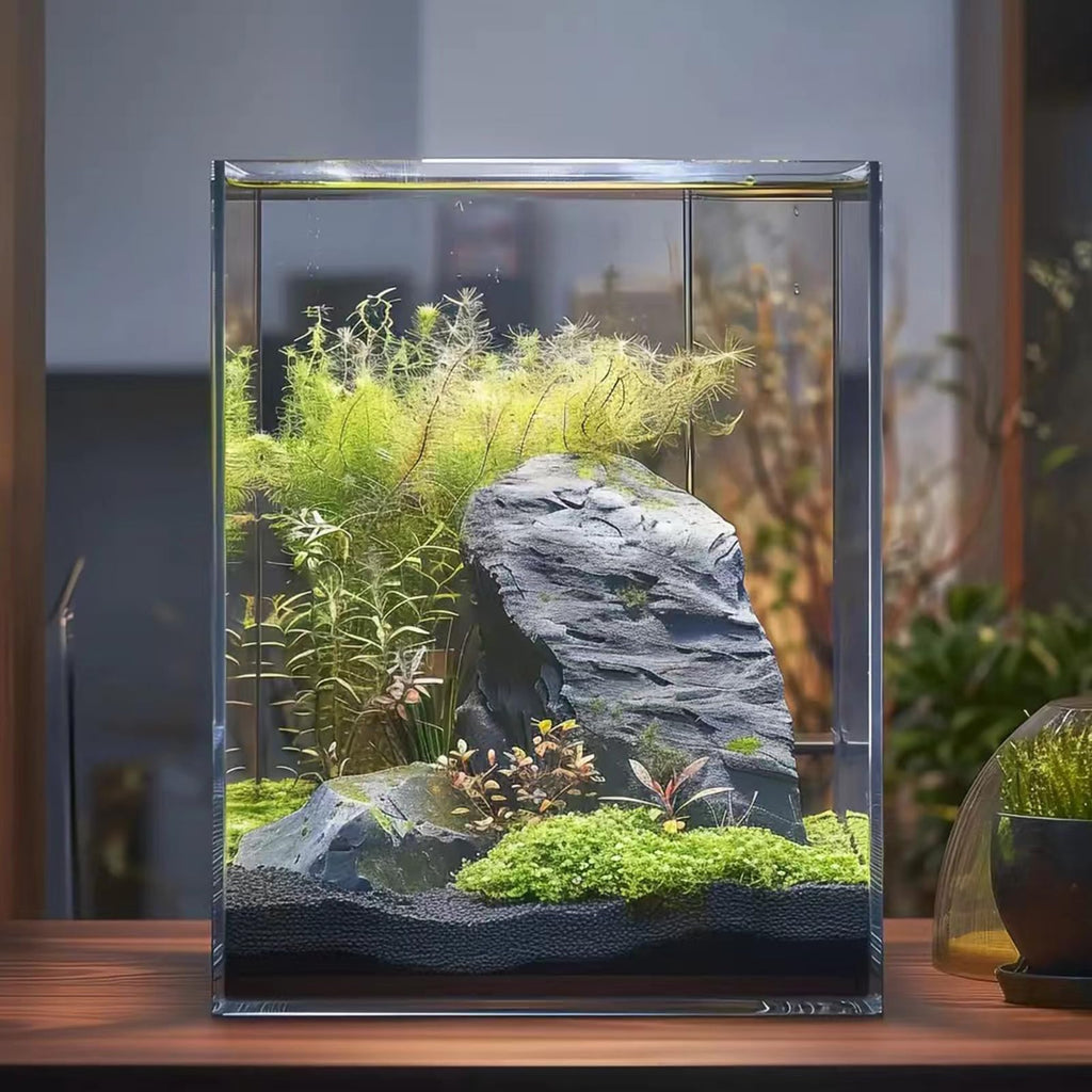 3 Gallon Glass Fish Tank D53781
