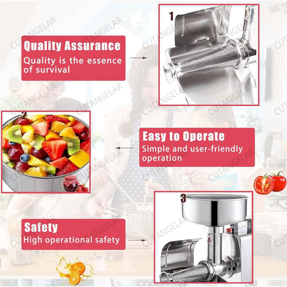 450W Stainless Steel Electric Sauce Maker W5907