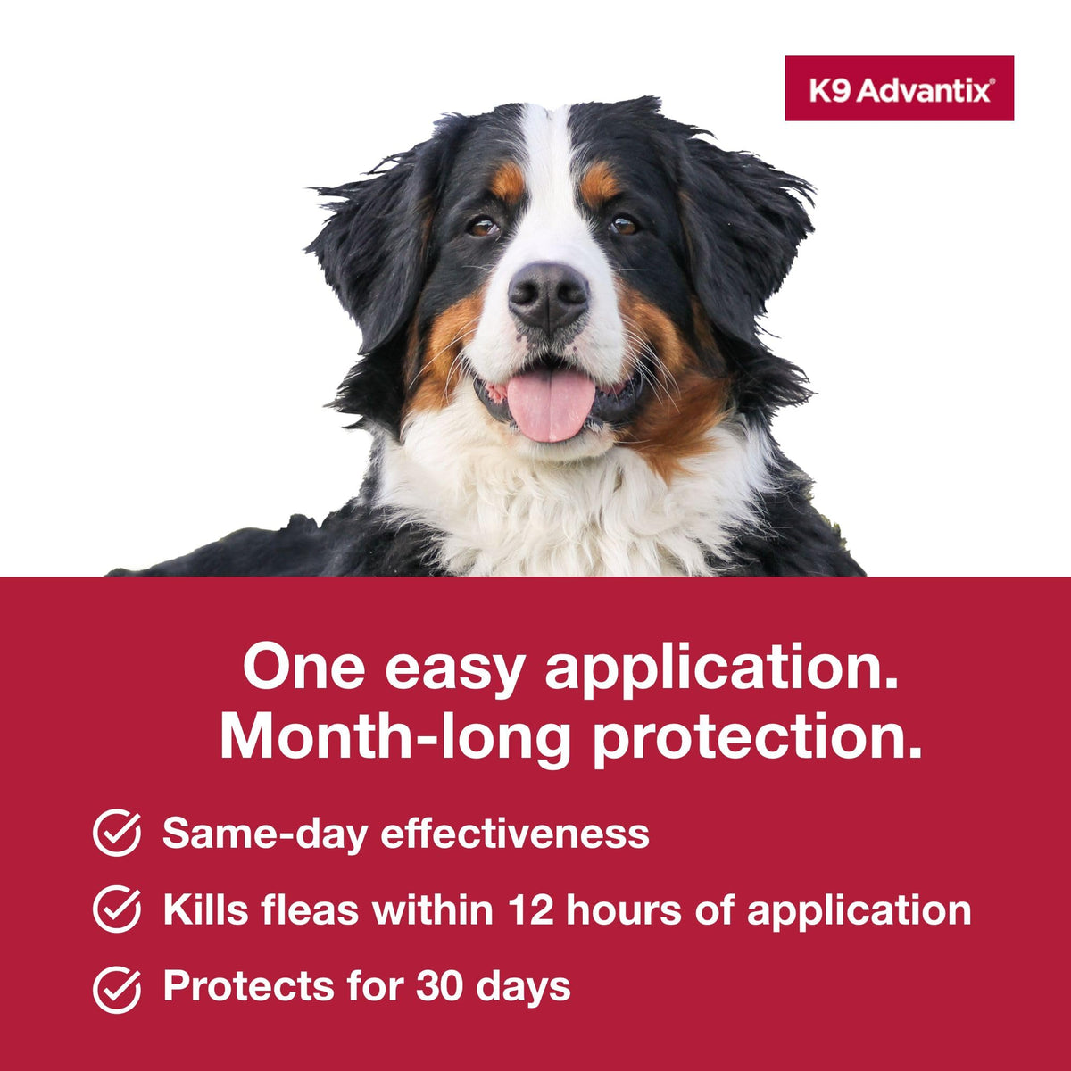 Flea, Tick & Mosquito Prevention for Dogs Over 55 lbs, 2 Treatments Y785