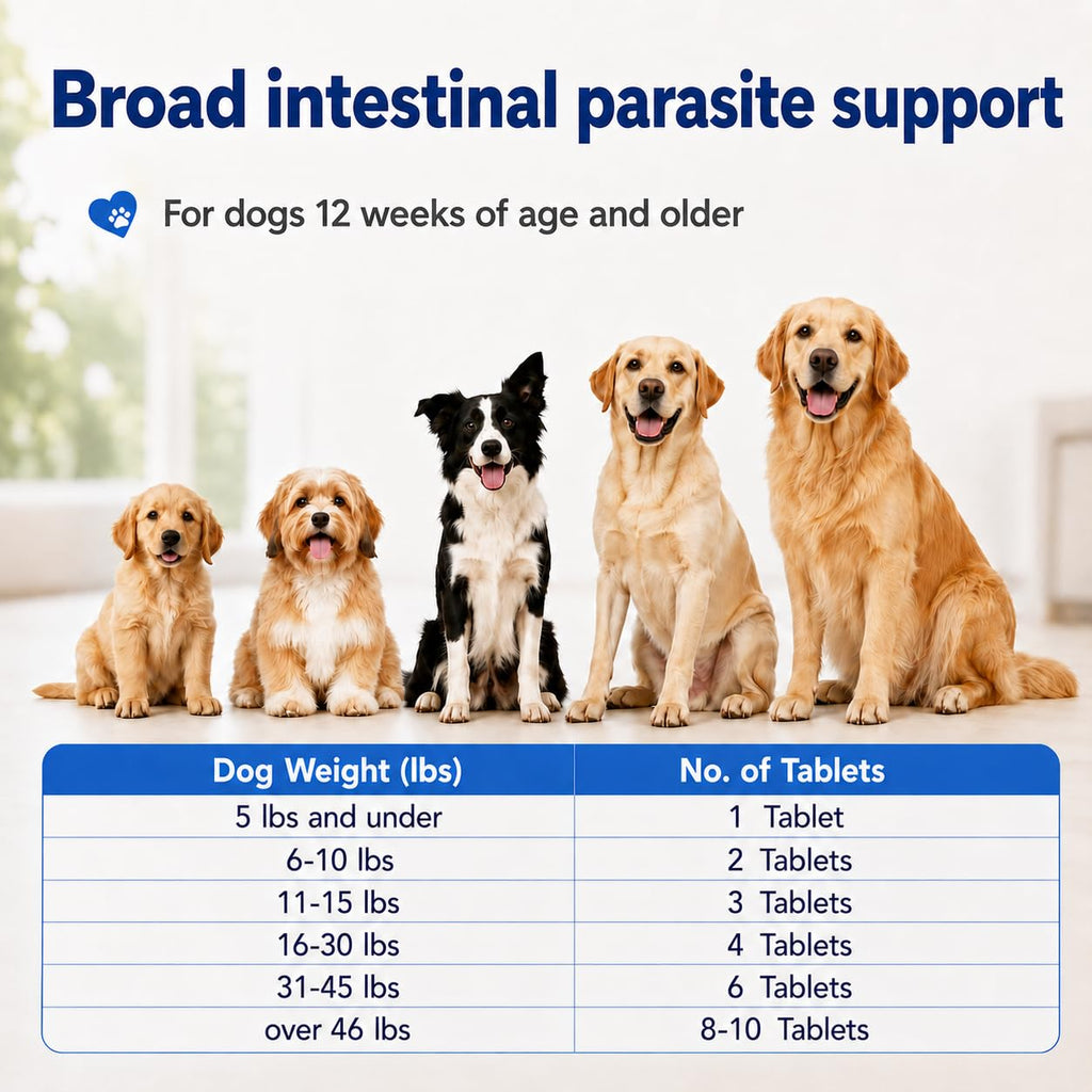 Dewormer for Dogs O892