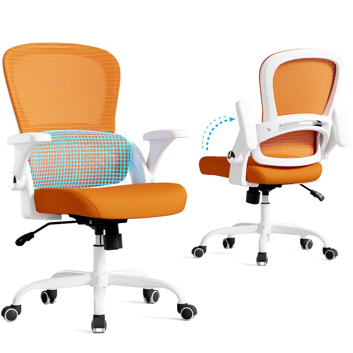 Ergonomic Office Chair with Back Support M6689