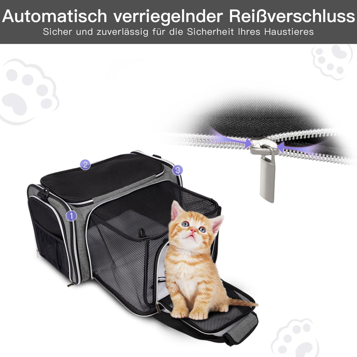 Airline Approved Soft Side Pet Carrier with Fleece Pad O987