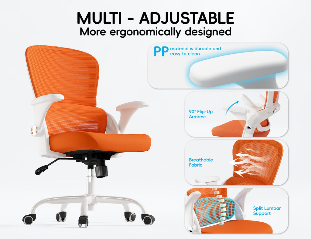 Ergonomic Office Chair with Back Support M6689