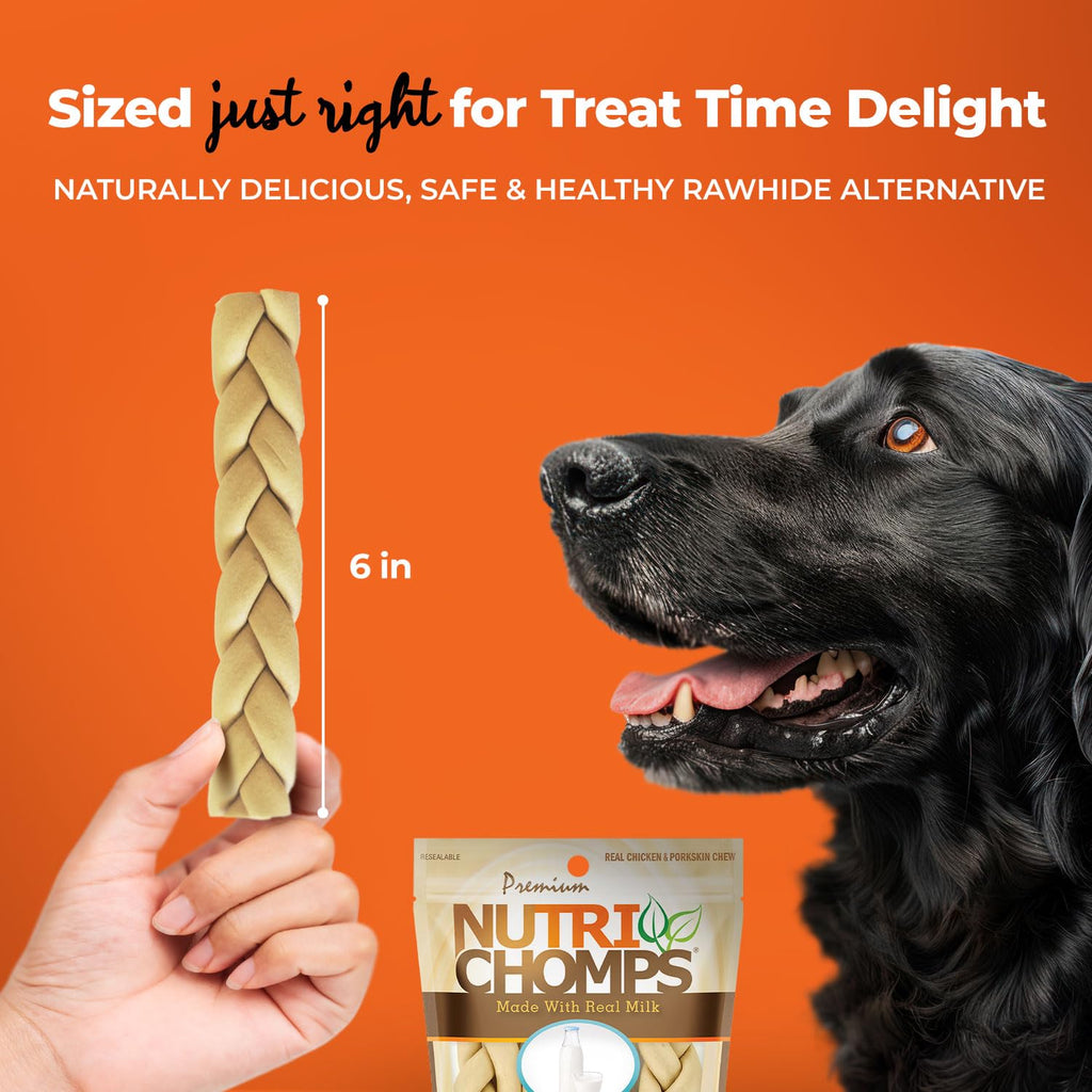 Rawhide Free Dog Chews, Milk Flavor, 6in Braids, 4ct T995794