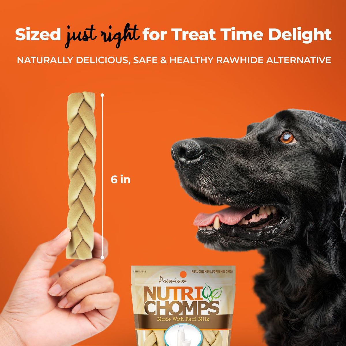 Rawhide Free Dog Chews, Milk Flavor, 6in Braids, 4ct T995794