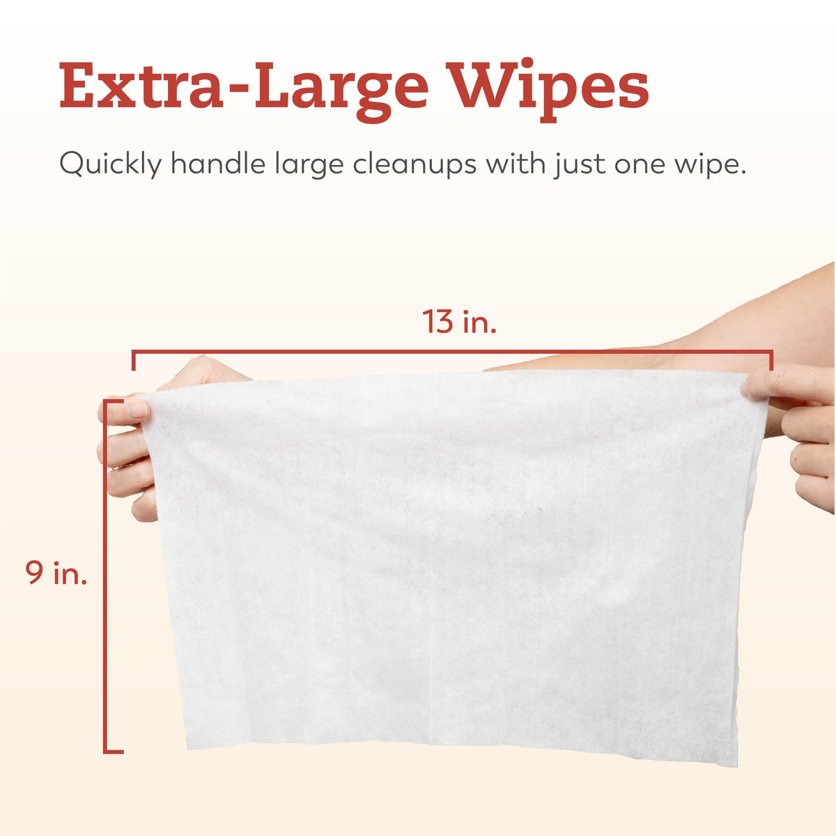 Large Briefs Multi-Pack with Cleansing Wipes D6053