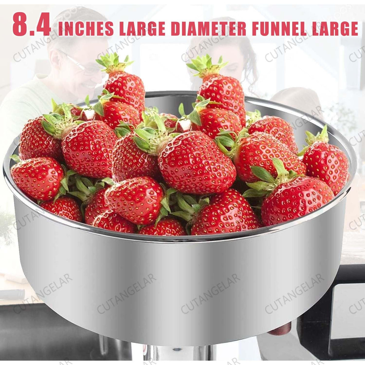 450W Stainless Steel Electric Sauce Maker W5907