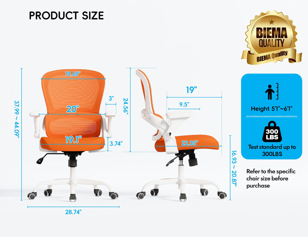 Ergonomic Office Chair with Back Support M6689