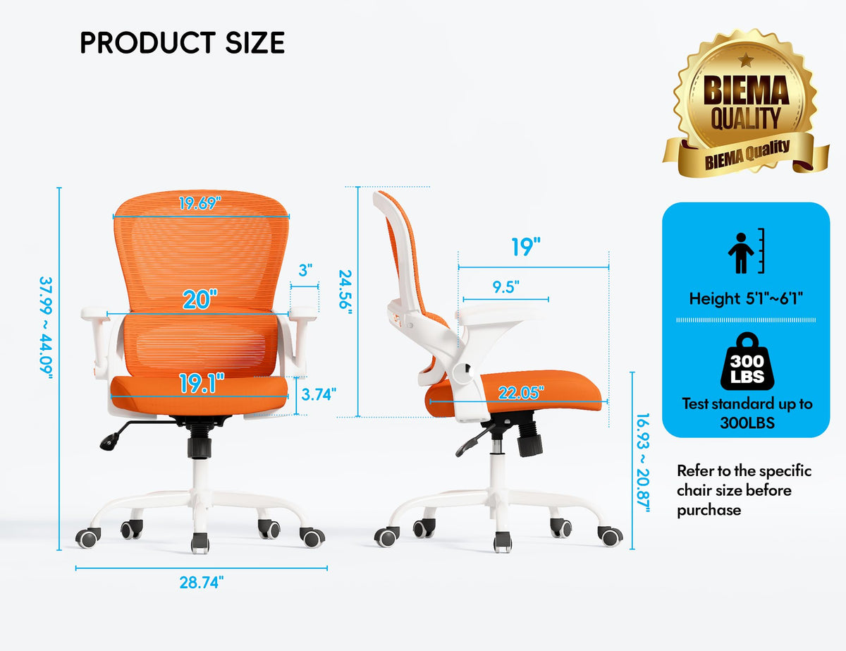 Ergonomic Office Chair with Back Support M6689