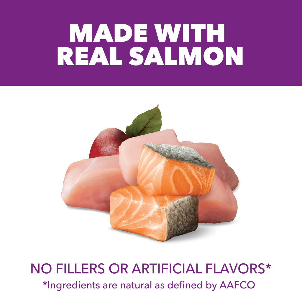 Chicken & Salmon Dry Dog Food 36 lb C79317