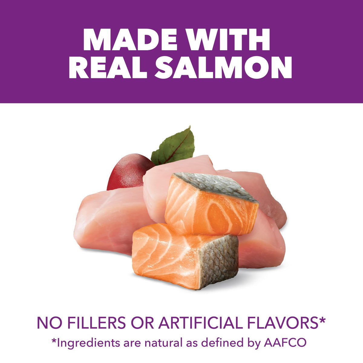 Chicken & Salmon Dry Dog Food 36 lb C79317