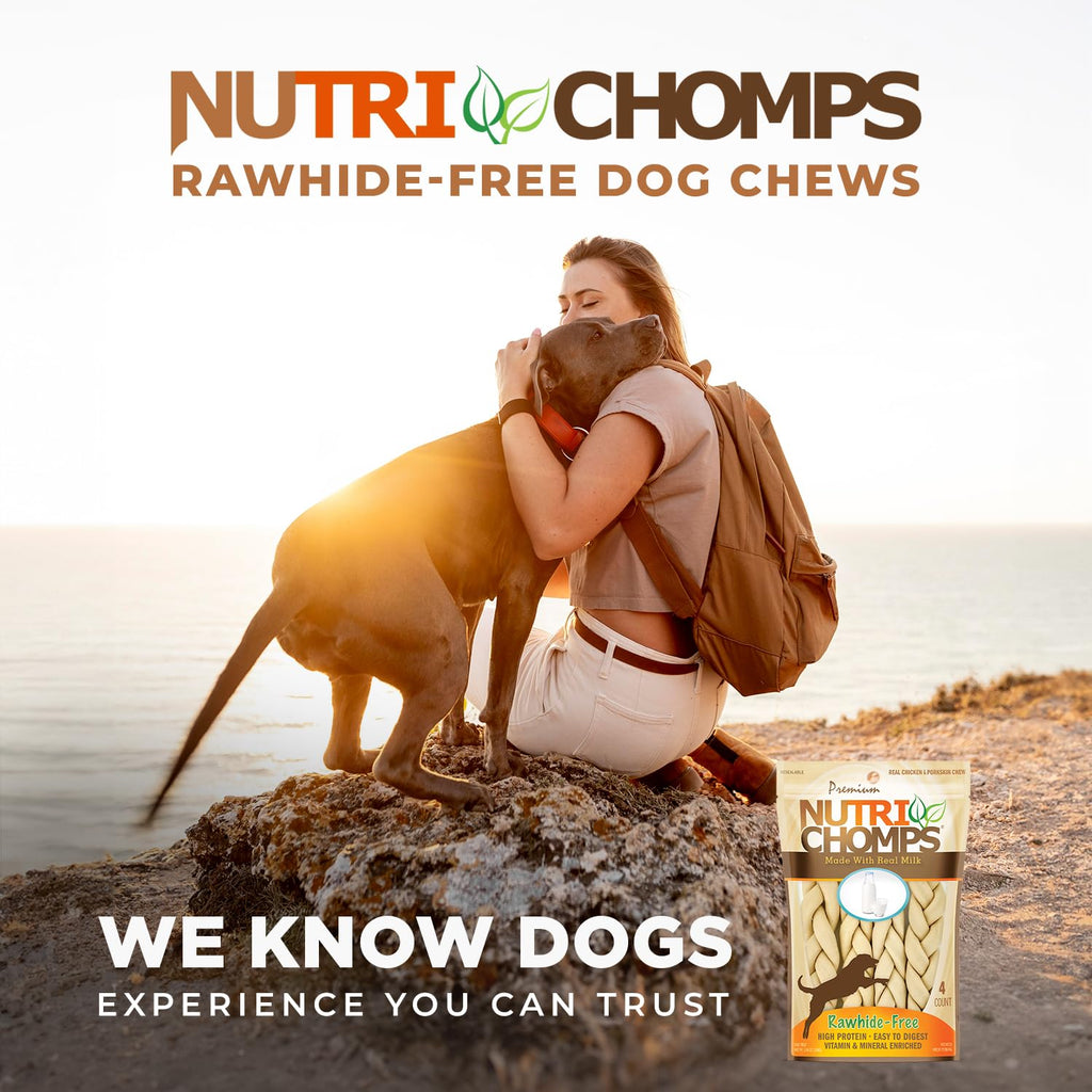 Rawhide Free Dog Chews, Milk Flavor, 6in Braids, 4ct T995794