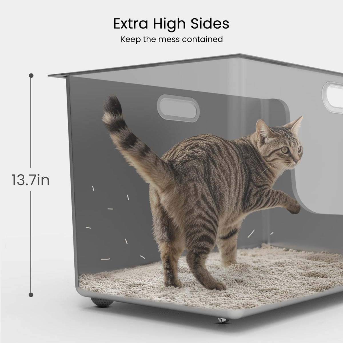 XL Stainless Steel Cat Litter Box with Low Entry A402