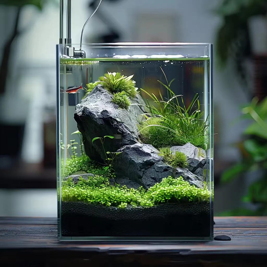 3 Gallon Glass Fish Tank D53781