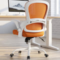 Ergonomic Office Chair with Back Support M6689
