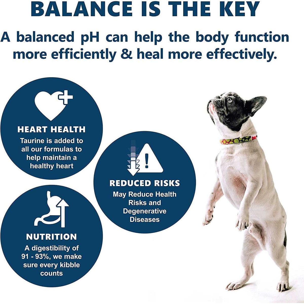 Holistic Dry Dog Food M41719