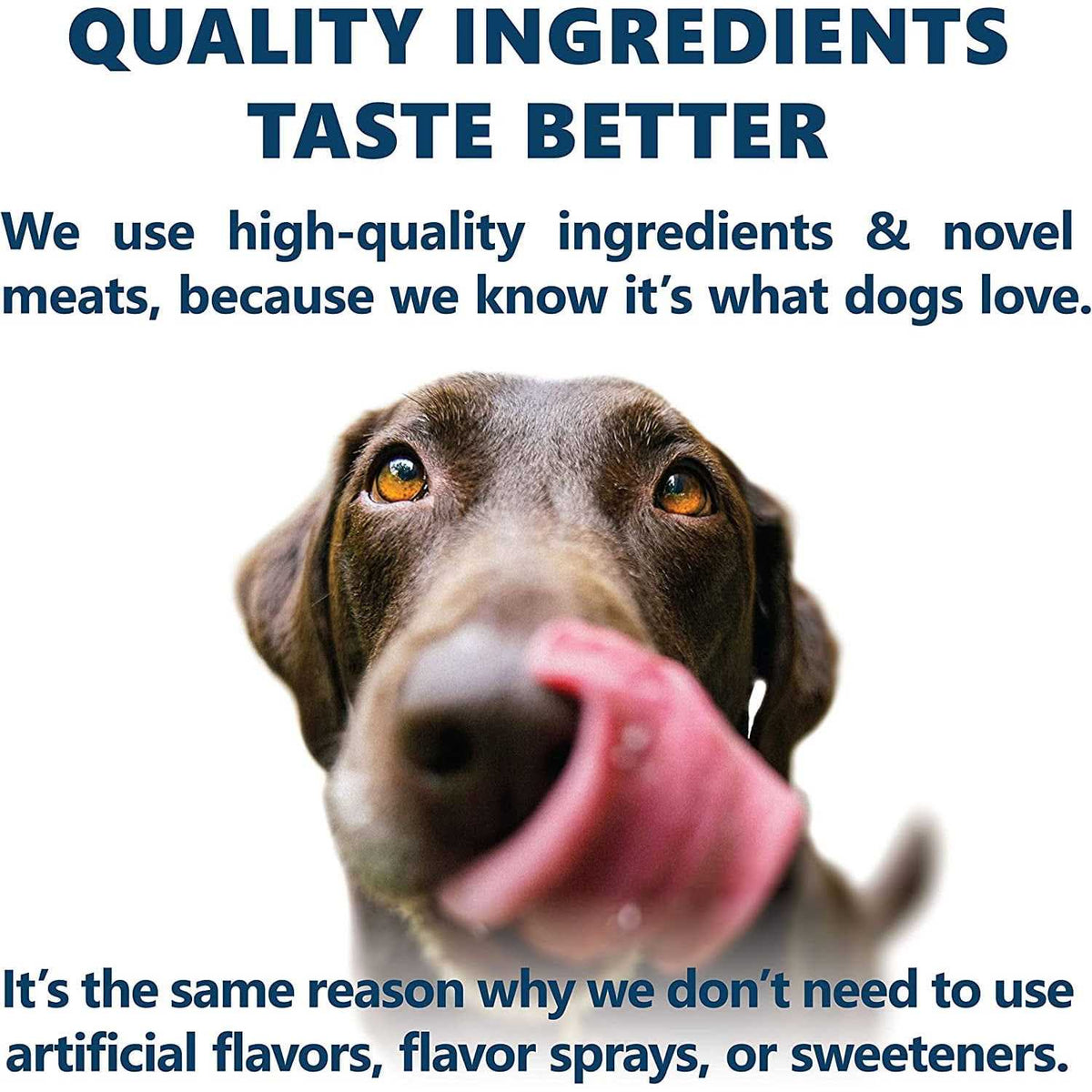 Holistic Dry Dog Food M41719