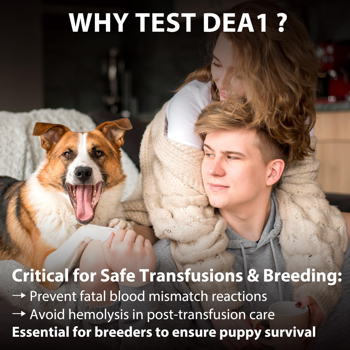 Dog Blood Typing Test Kit S6497