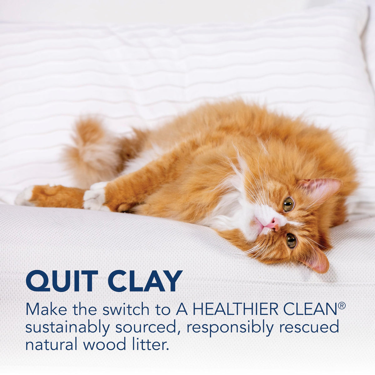 Unscented Wood Clumping Cat Litter Mini-Pellets 18.6 pounds J688