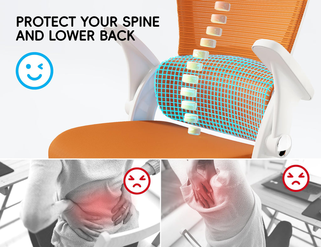 Ergonomic Office Chair with Back Support M6689