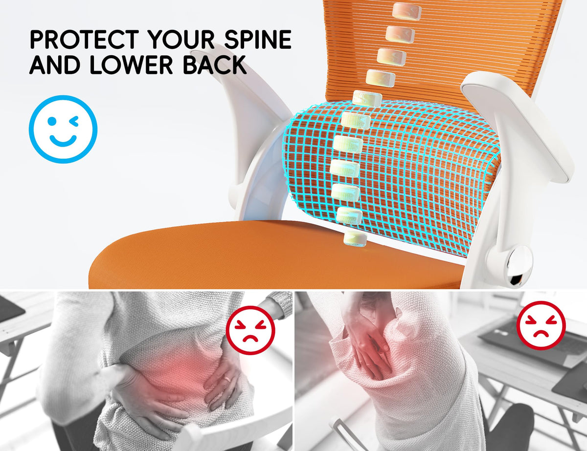Ergonomic Office Chair with Back Support M6689