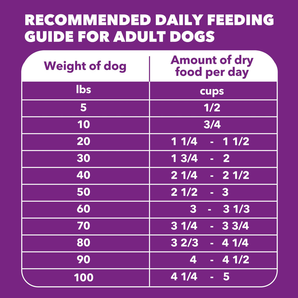 Chicken & Salmon Dry Dog Food 36 lb C79317