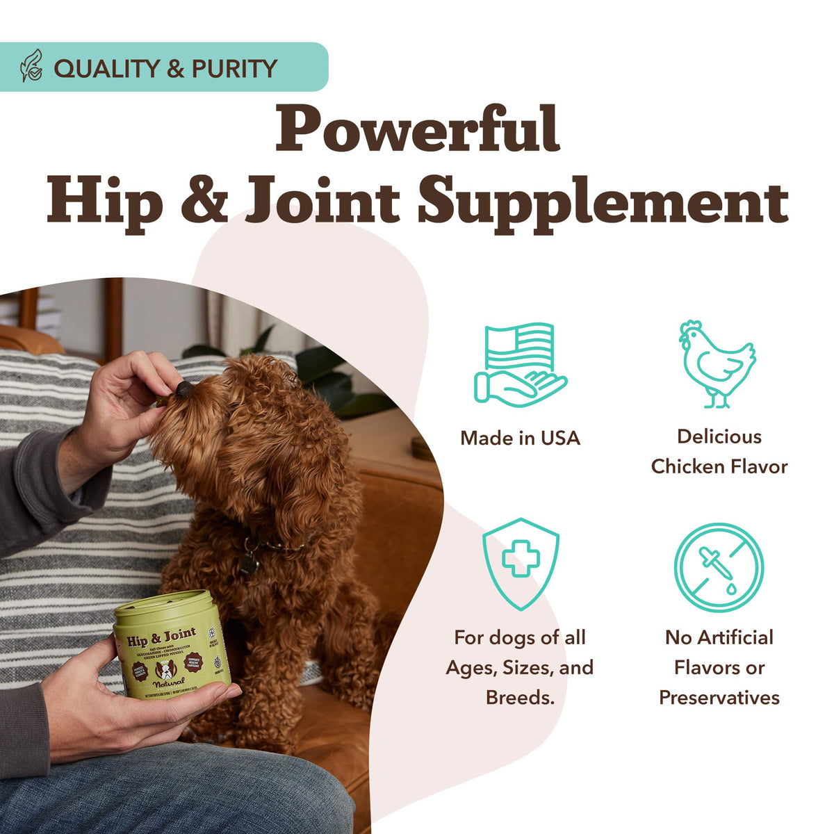 Chicken Liver Hip & Joint Chews for Dogs 90 Count S697985
