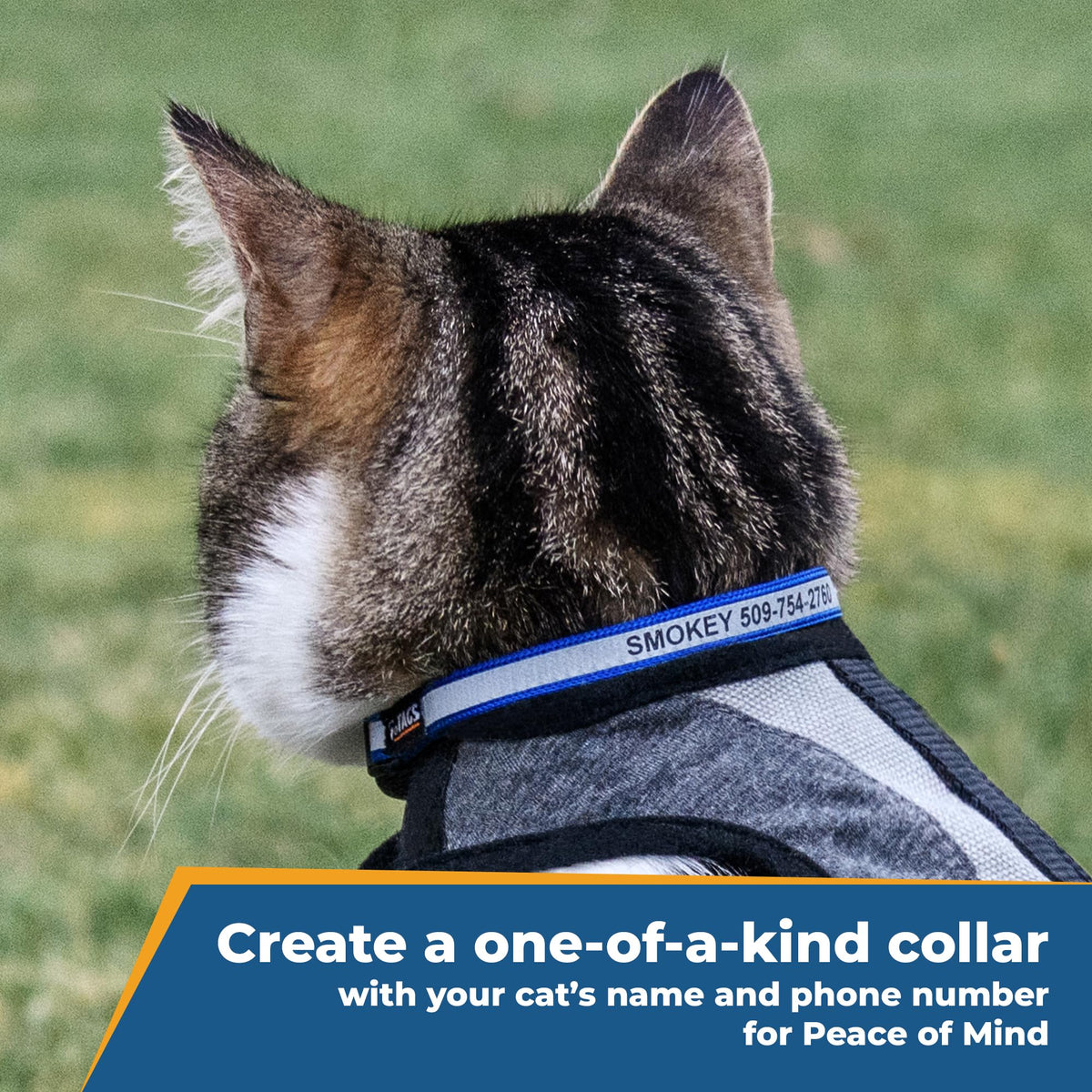 Reflective Cat Collar T771