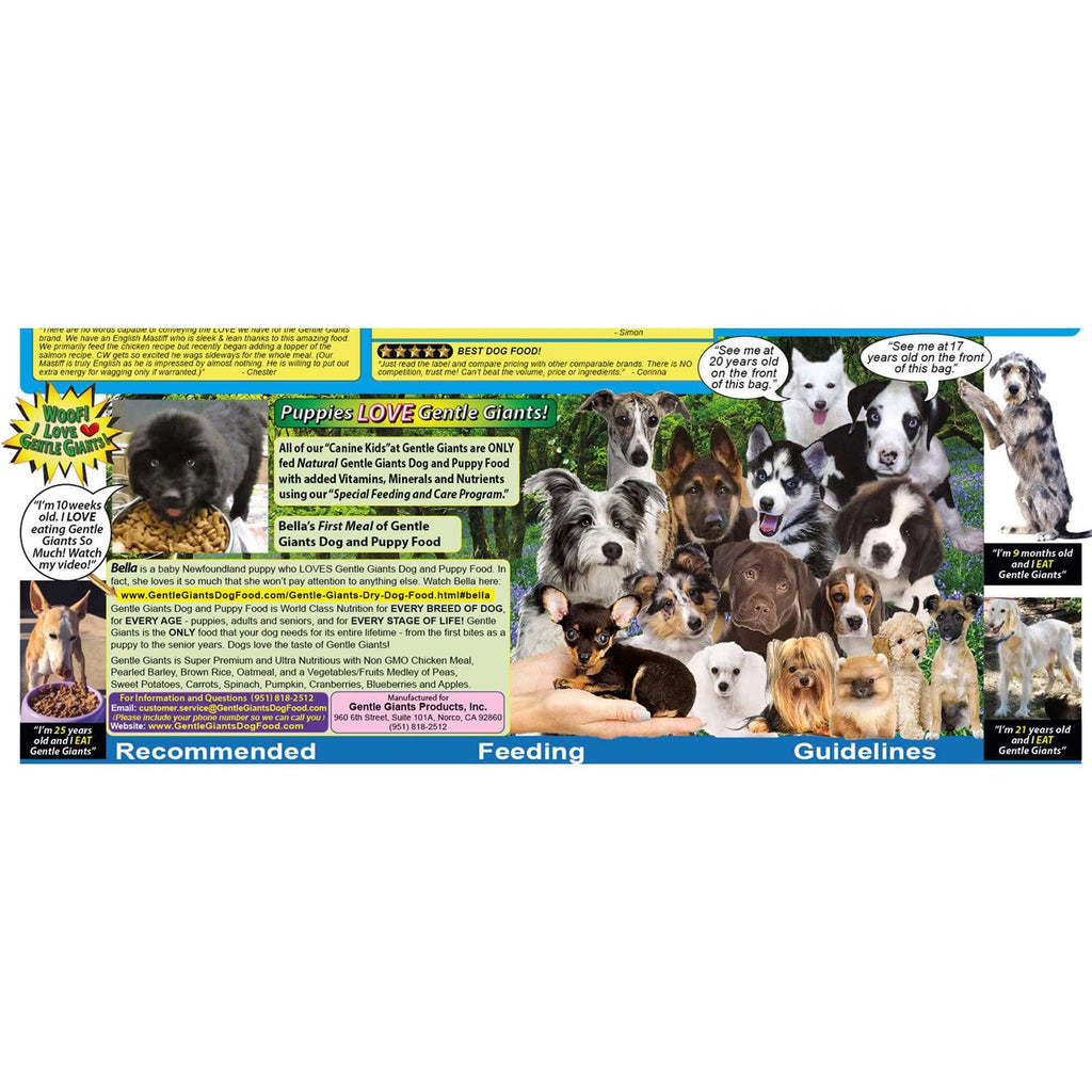 Chicken Dry Dog Food N801